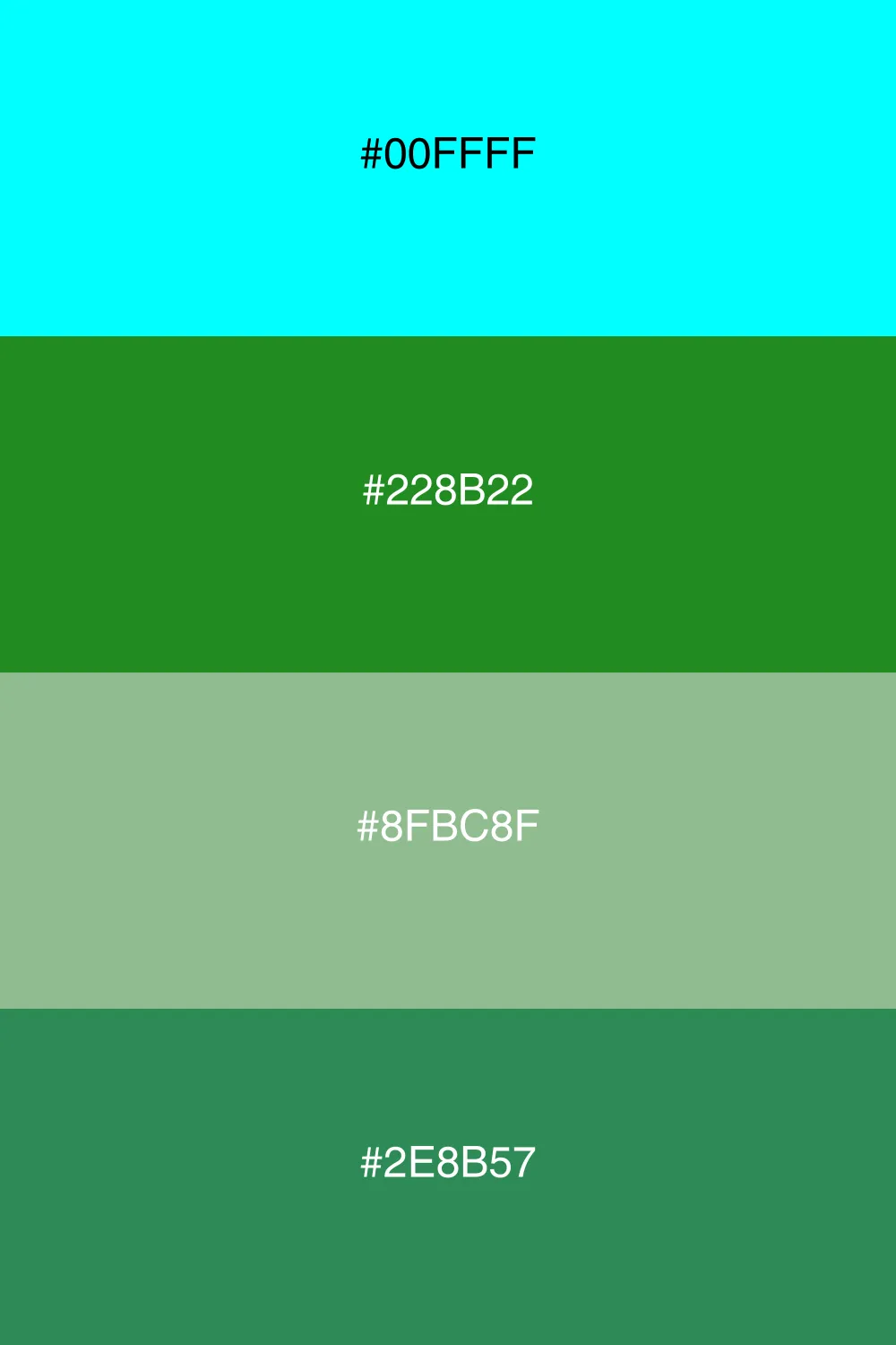 A fresh palette inspired by forest greens.