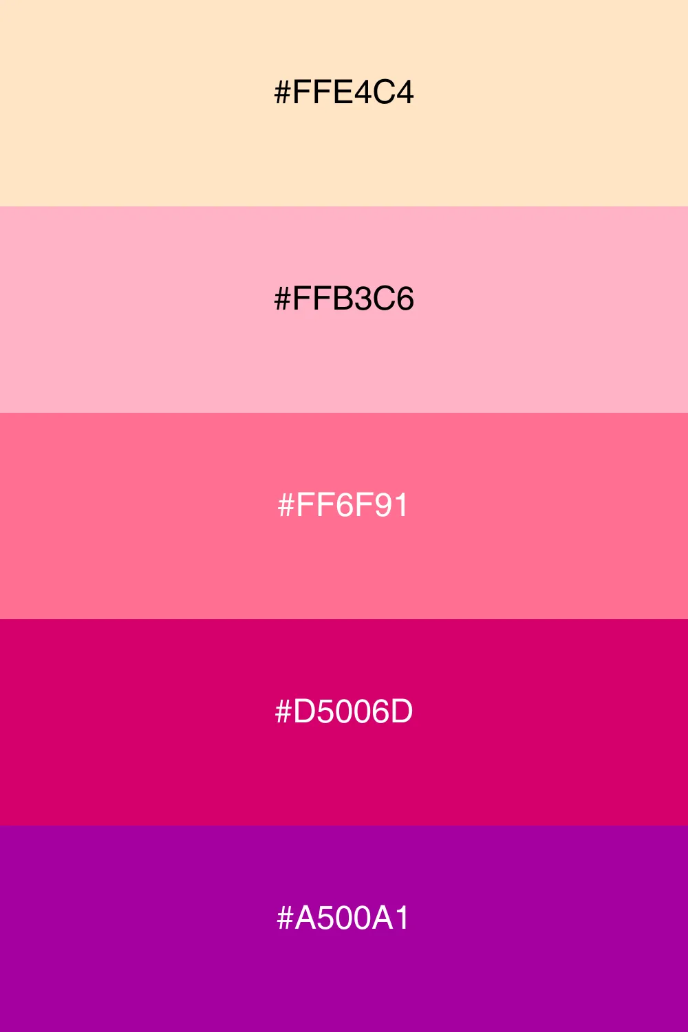 A vibrant floral palette full of life and energy.