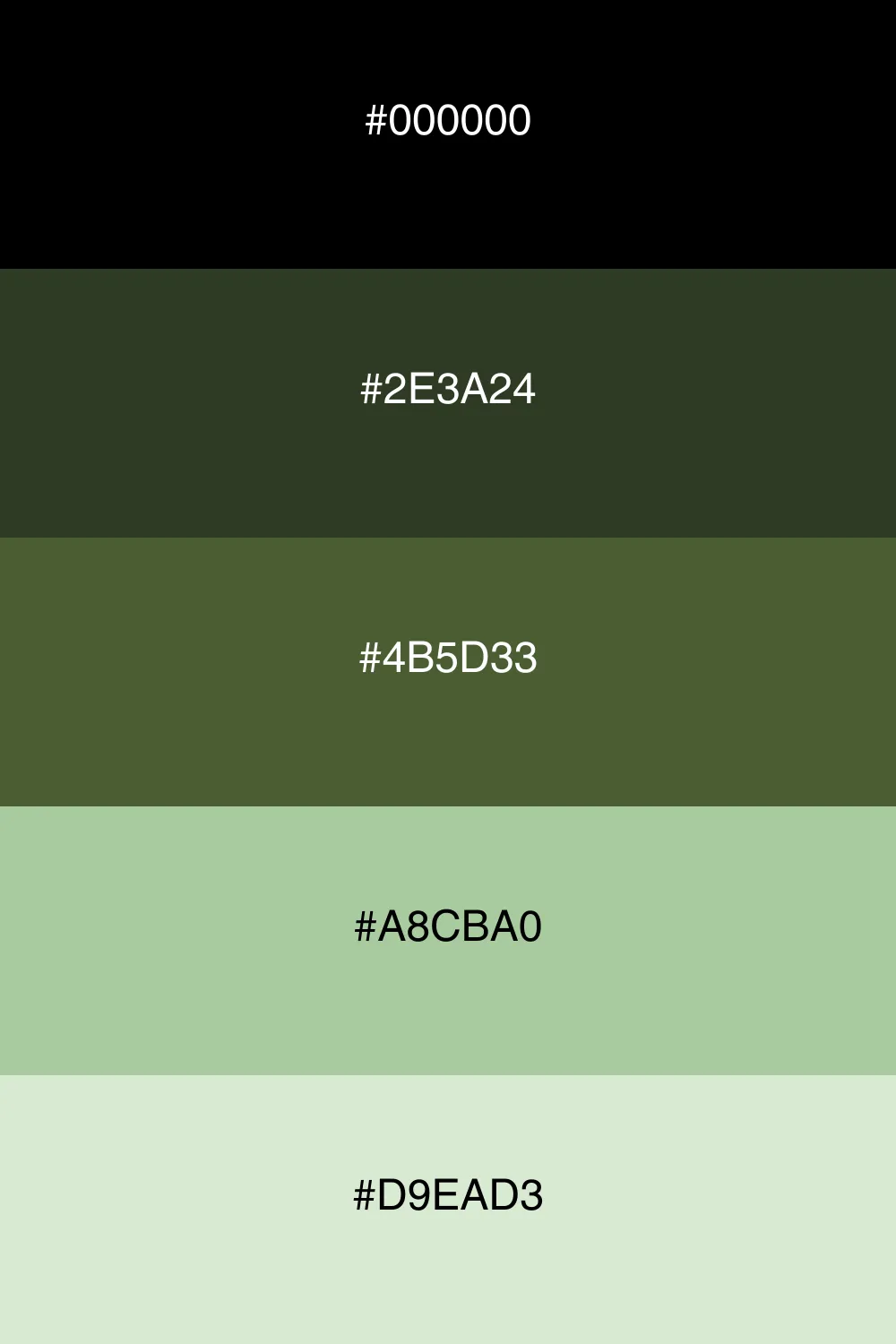 Inspired by nature, this palette feels grounded and serene.