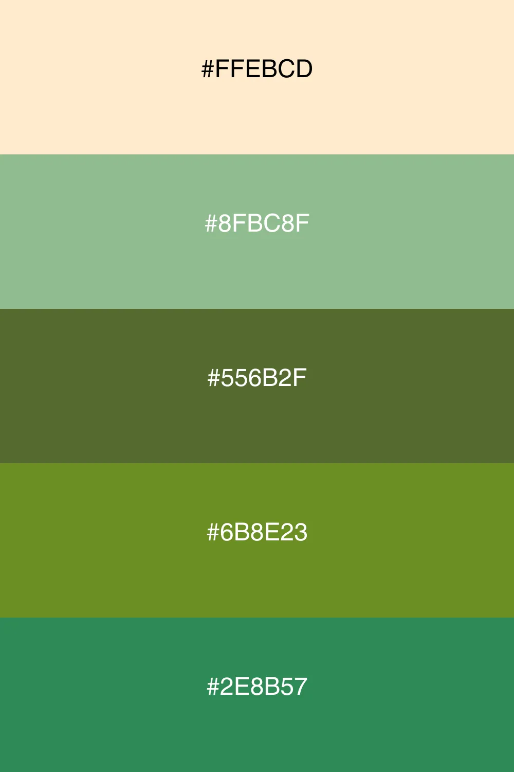 An earthy palette inspired by the tranquility of nature.