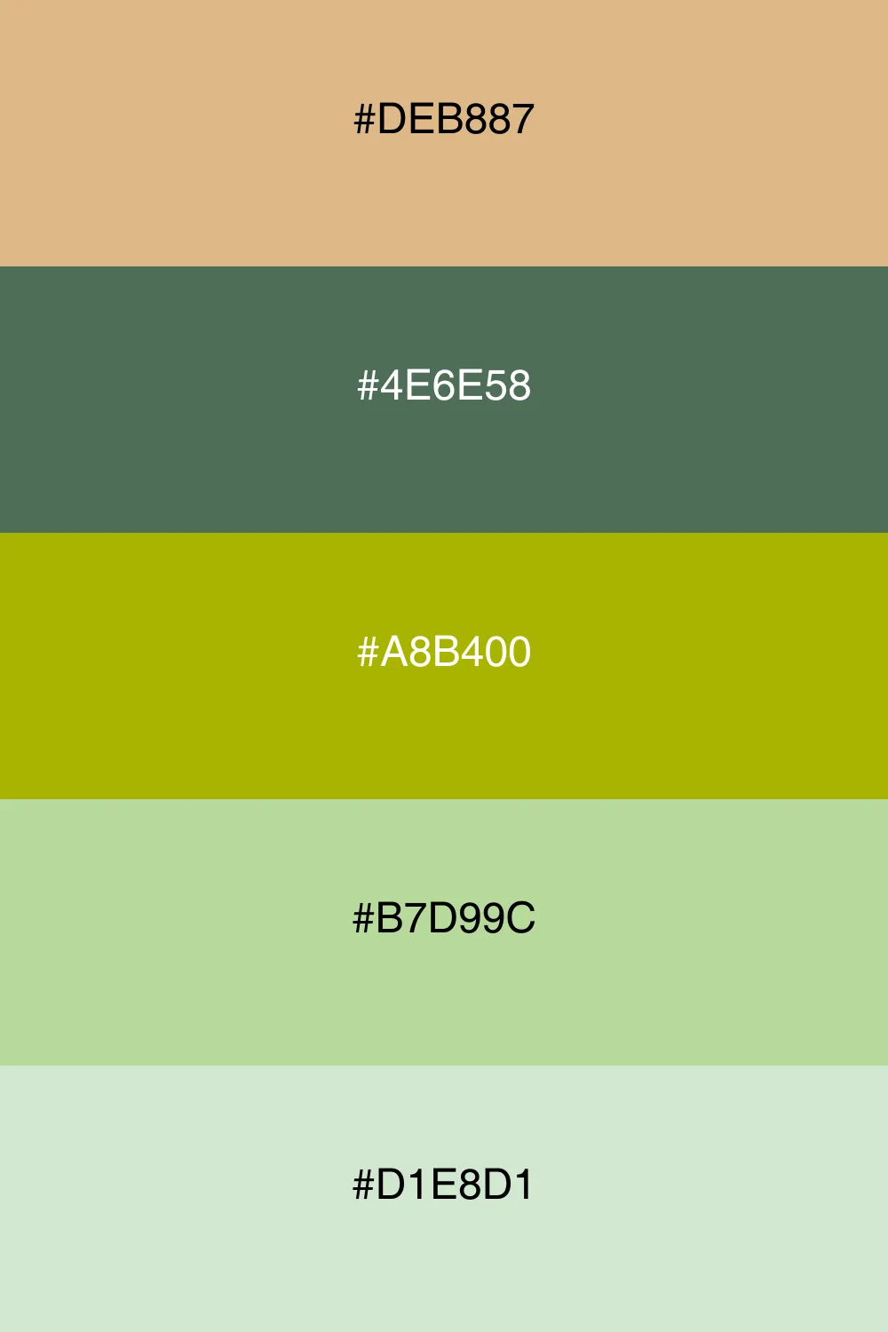 A fresh palette inspired by the tranquility of a forest.