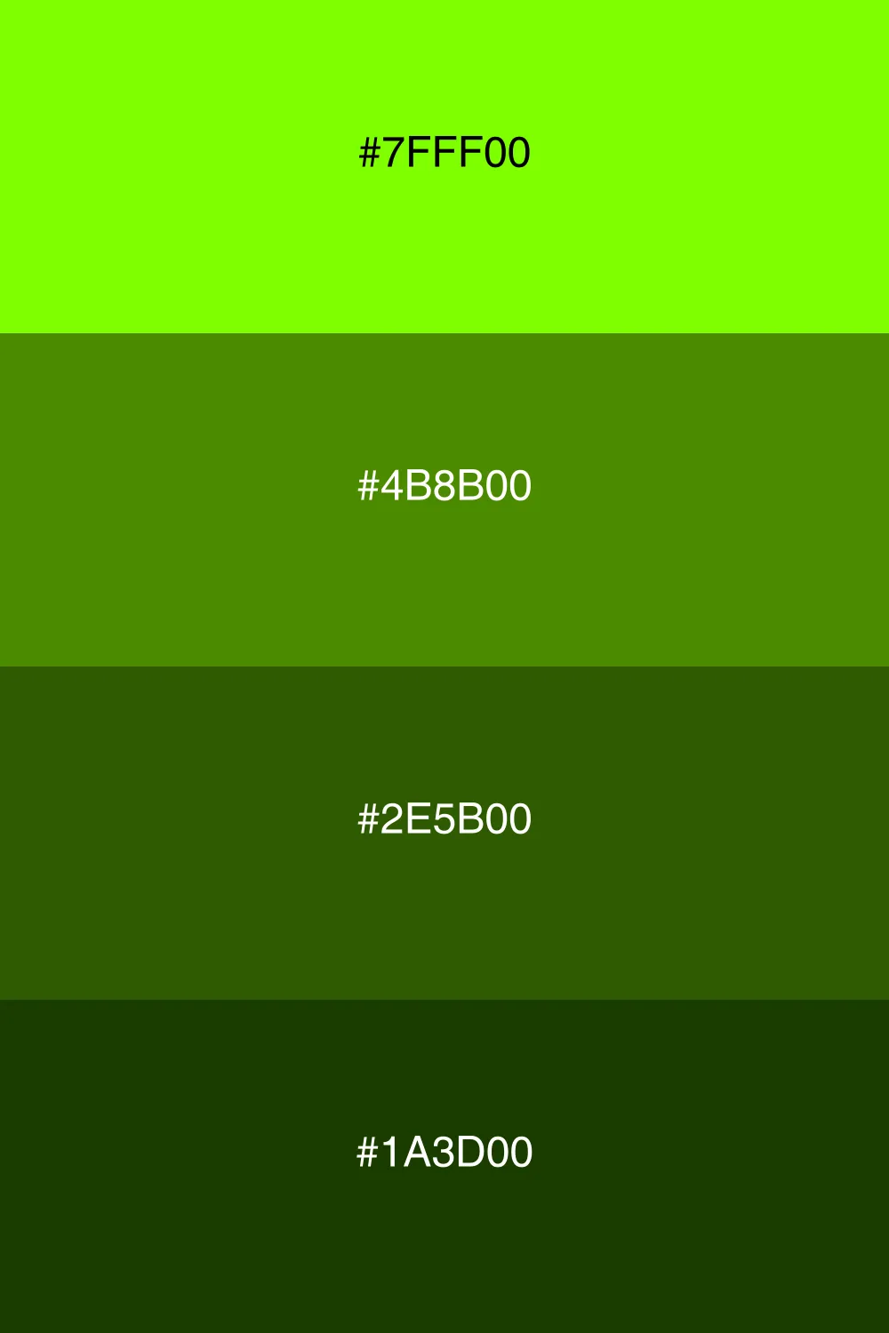 A rich dark palette inspired by deep forest greens.