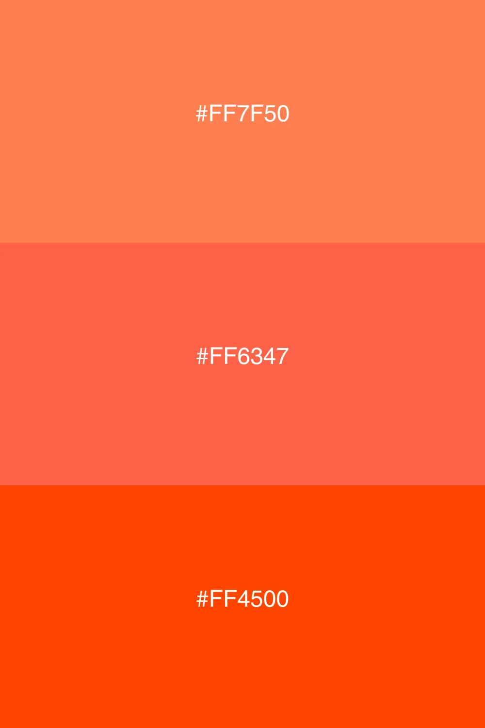 A warm palette inspired by a vibrant sunset.