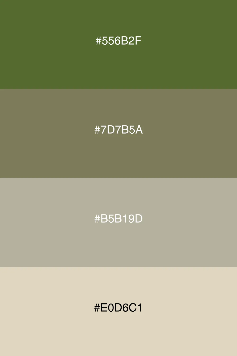 A neutral palette grounded in earthy tones and balance.