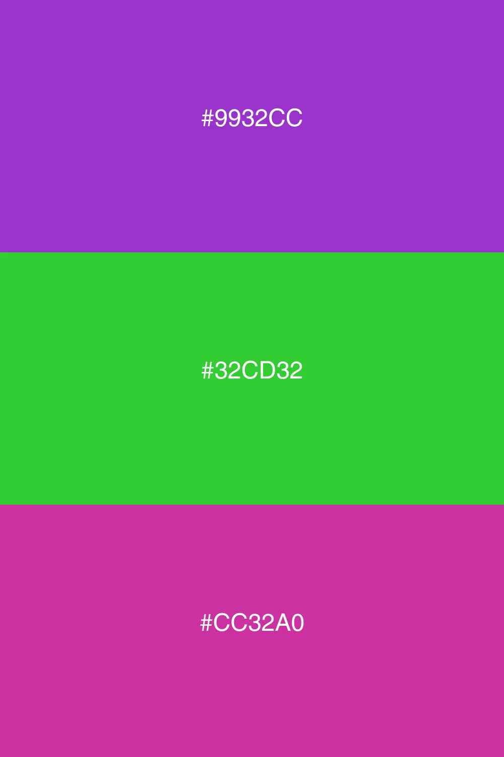 Dynamic contrast with two accent colors.