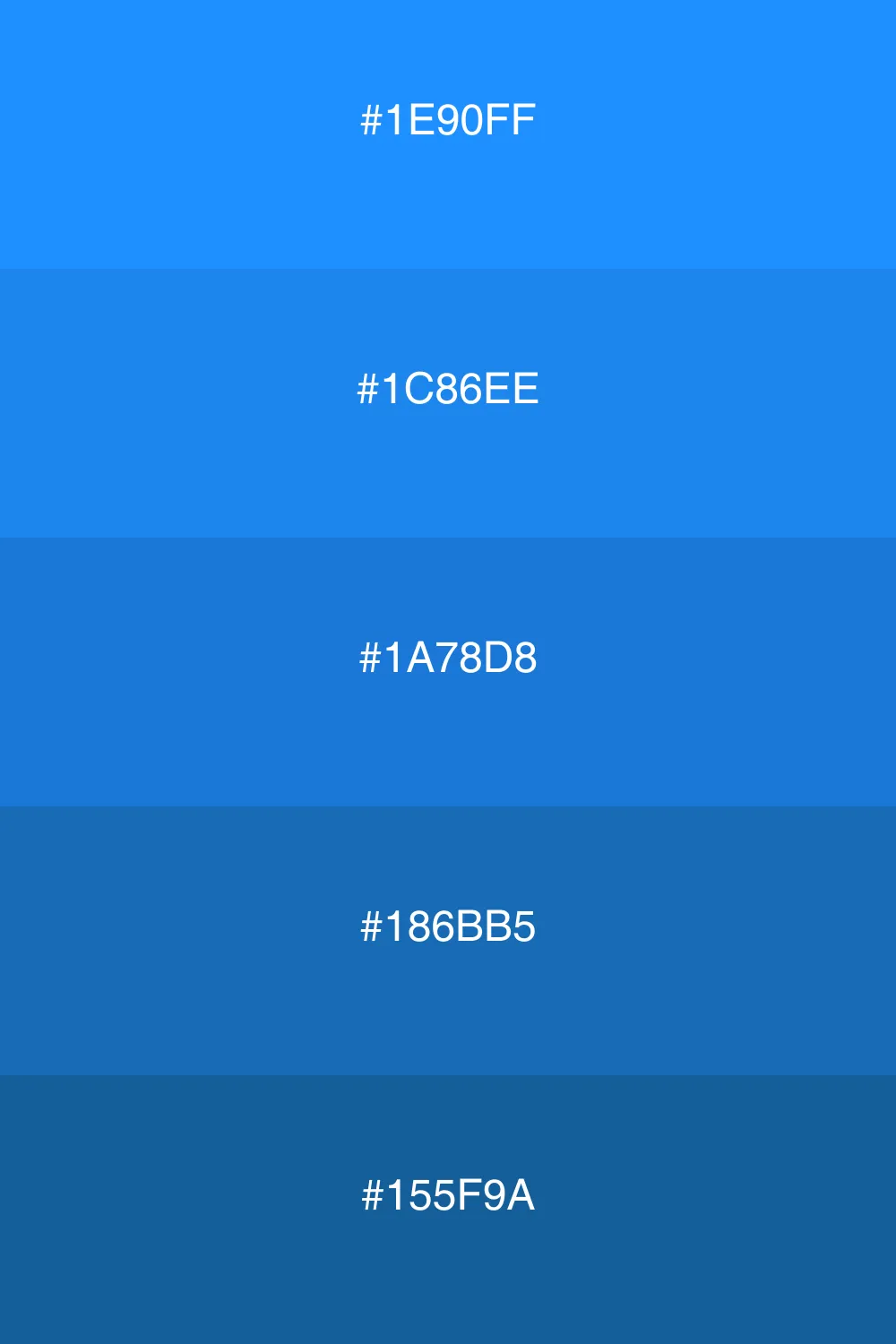 Variations of blue for a cohesive look.