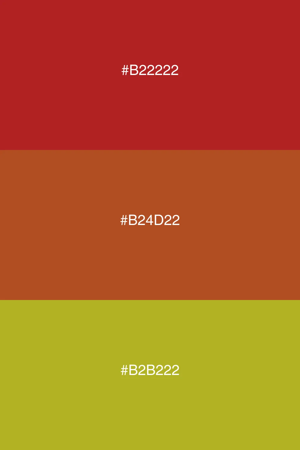 Harmonious colors for a warm palette.