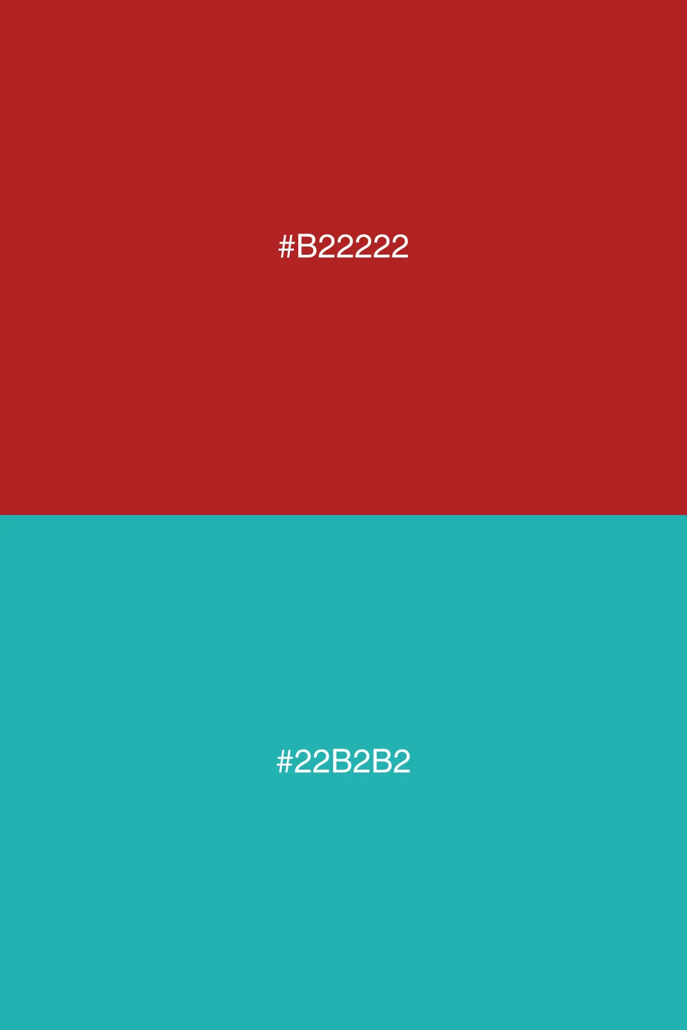 Contrasting colors for vibrant visuals.