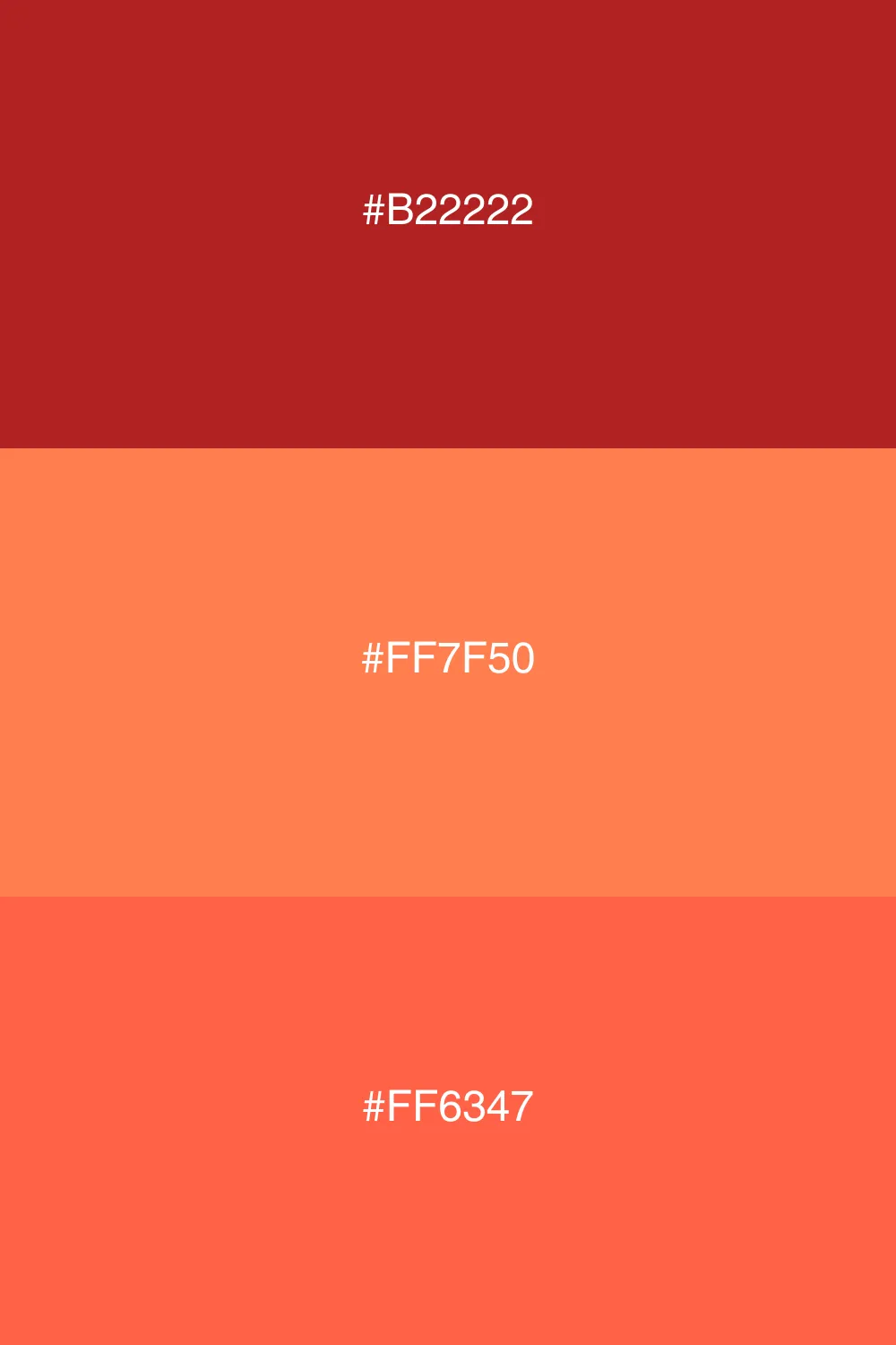 Warm colors for inviting designs.