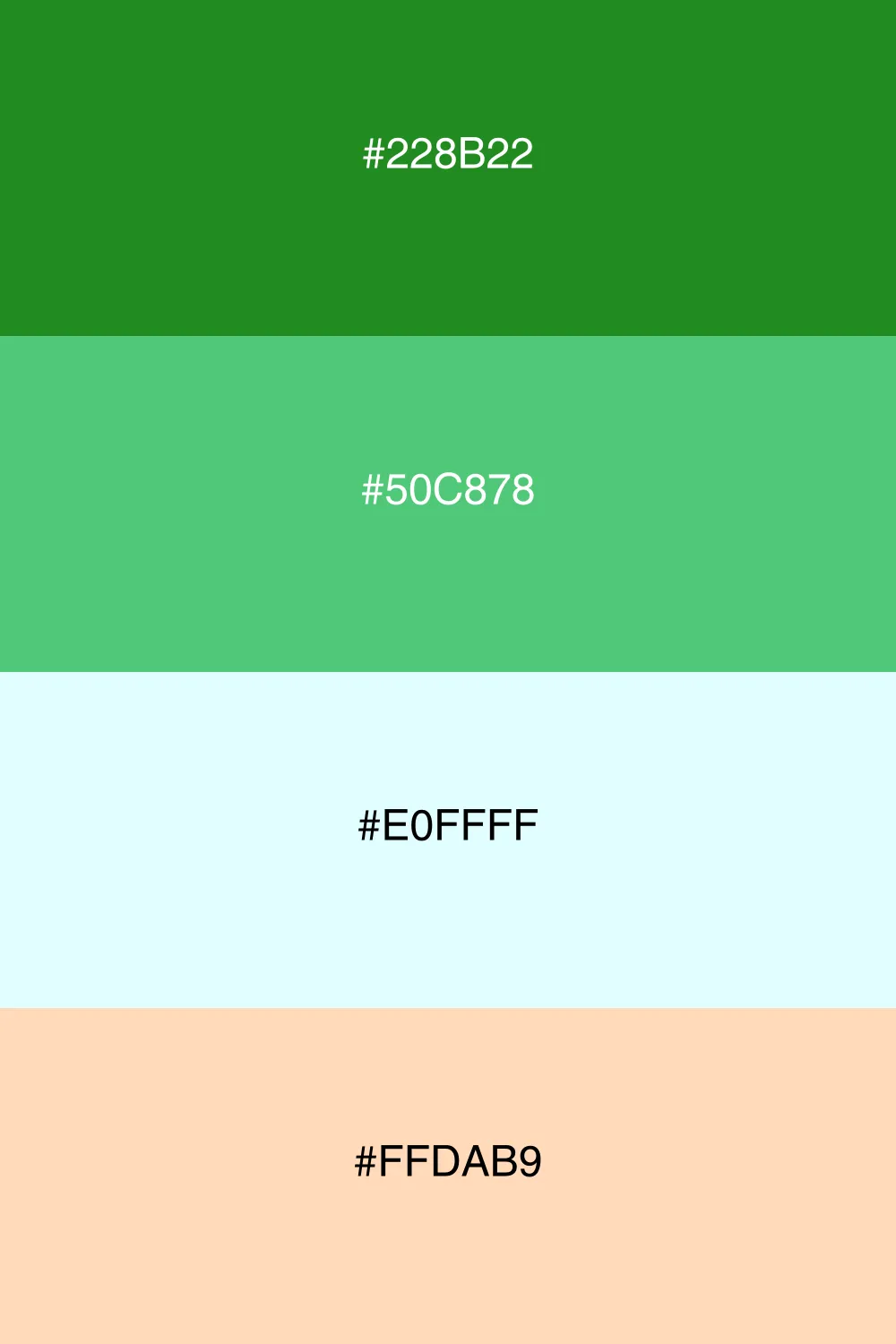 A refreshing palette reminiscent of tropical oases.