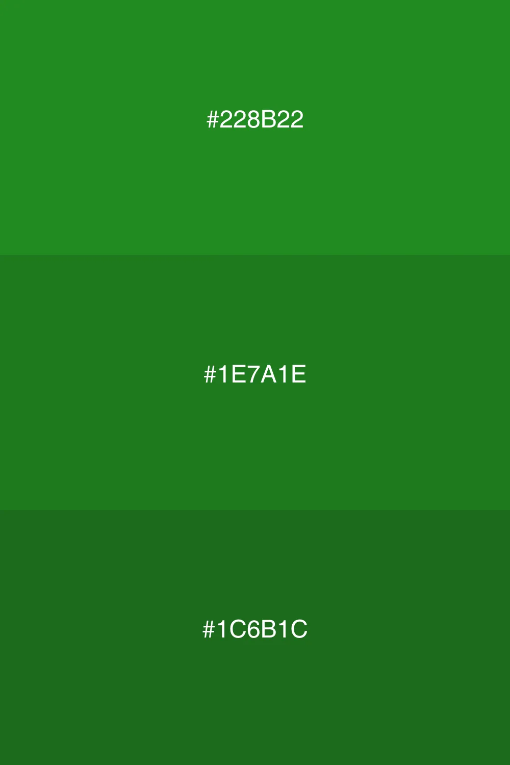 A serene blend of greens for nature themes.