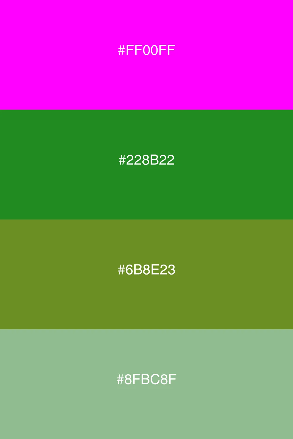 A fresh palette inspired by forest colors.