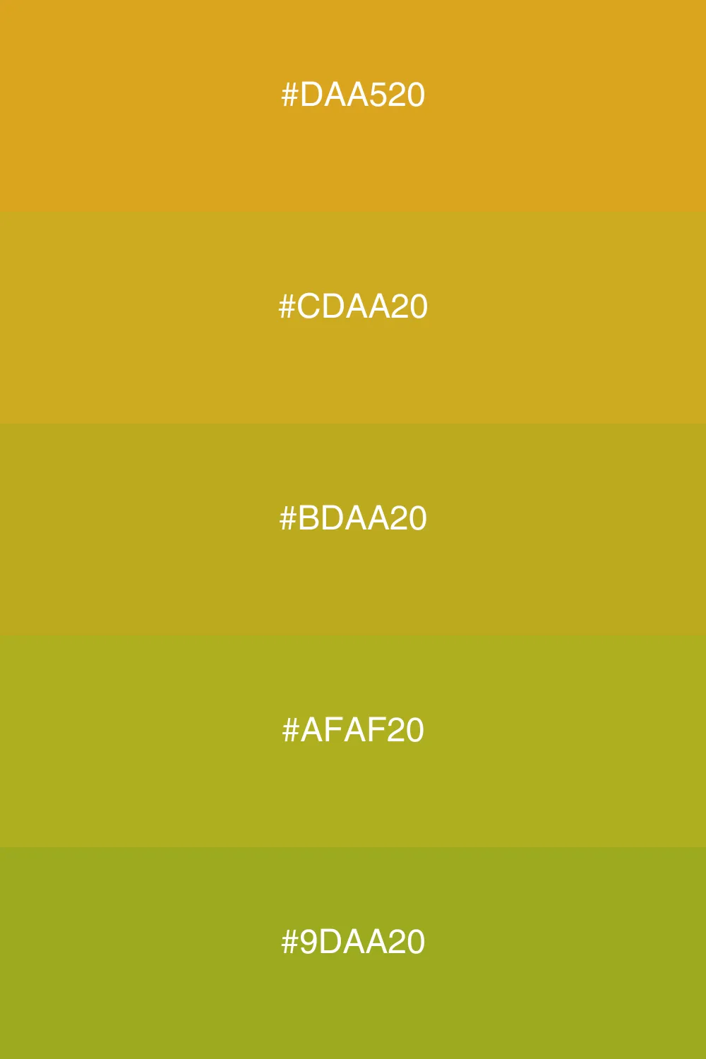 A warm palette evoking sunny, earthy vibes.