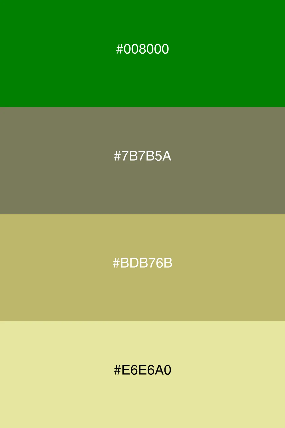 A subtle and organic palette inspired by olive groves.