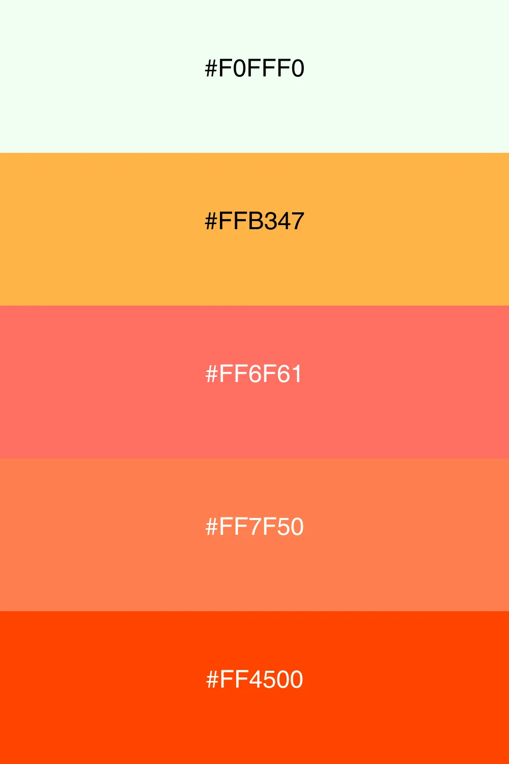 A vibrant palette inspired by the colors of sunset.