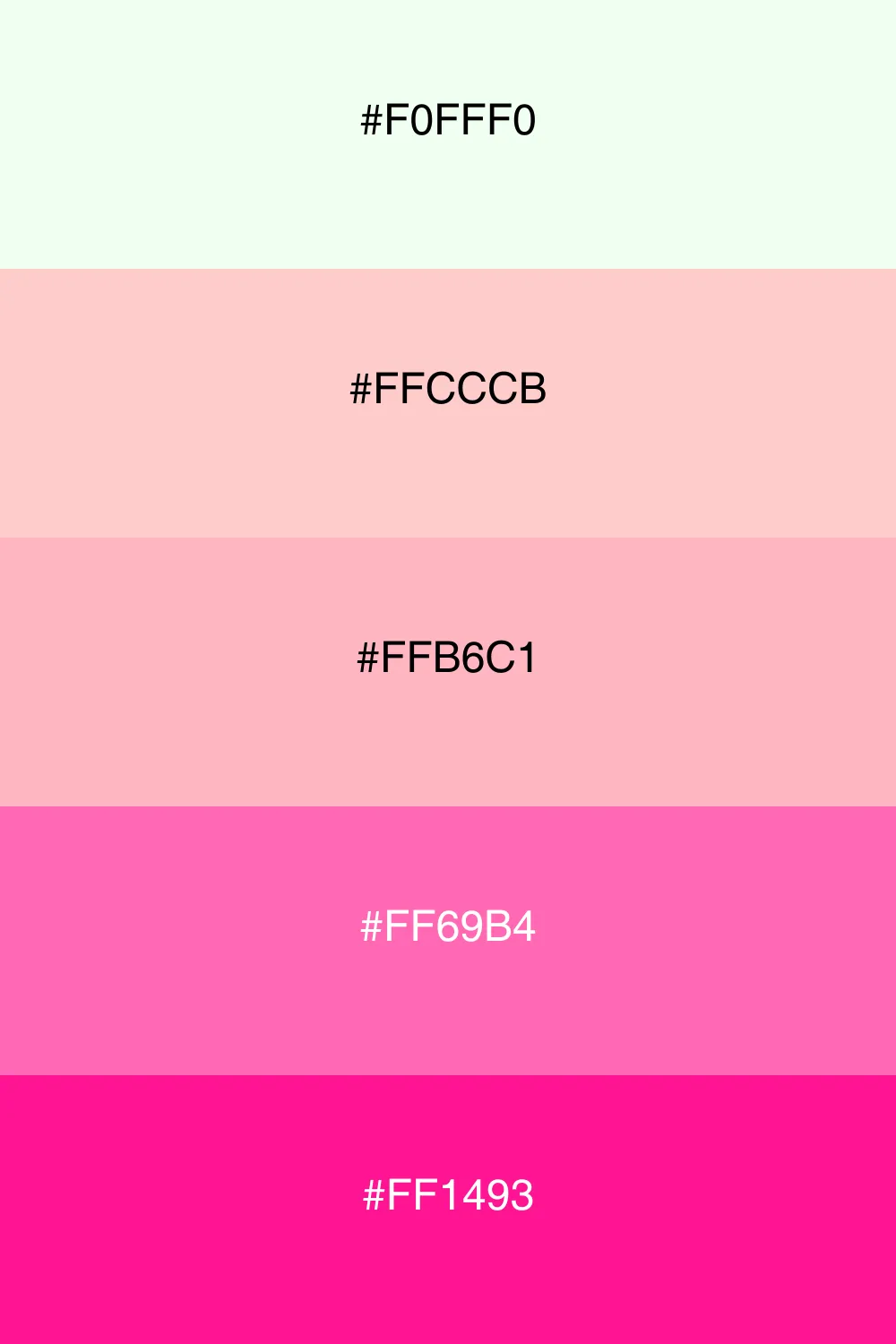 A vibrant palette inspired by the colors of sunset.