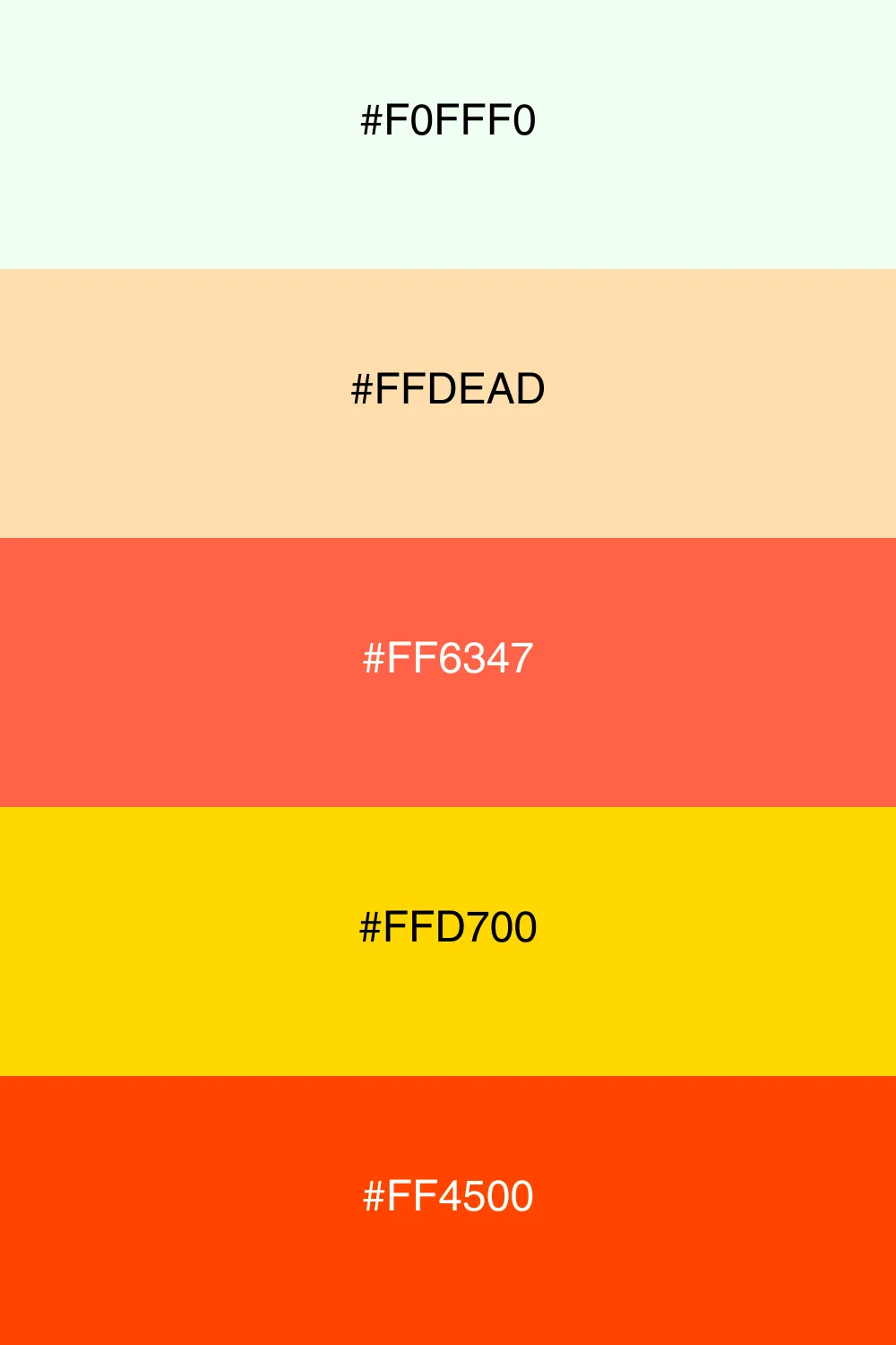 A warm palette that feels inviting and cheerful.