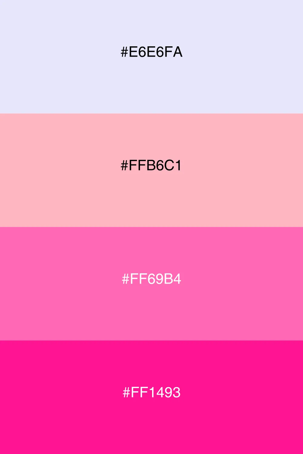 A warm palette that feels inviting and cheerful.
