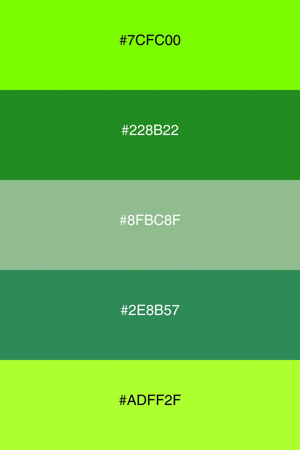 An earthy palette inspired by lush forest greenery.