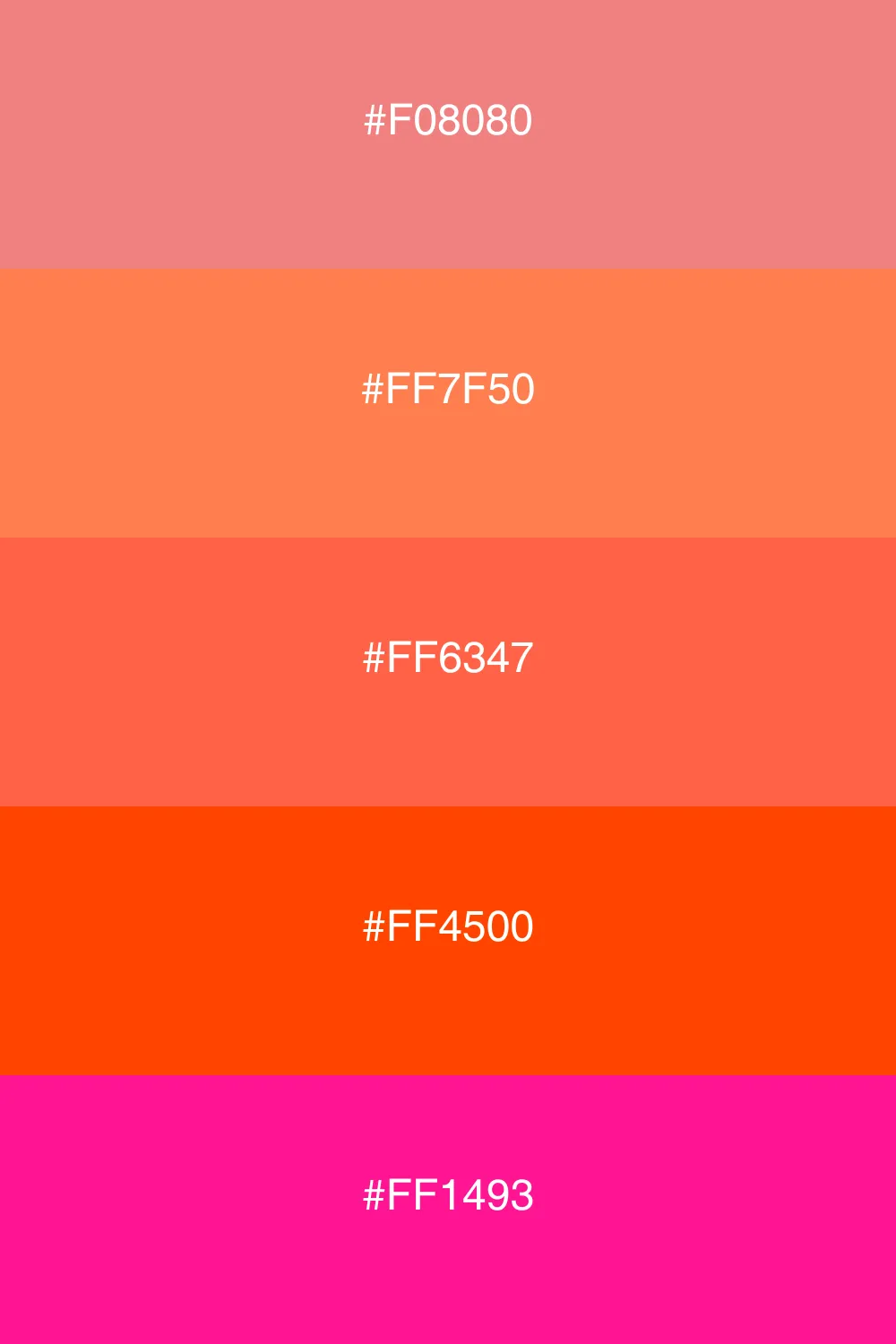 A vibrant palette that glows like a sunset.