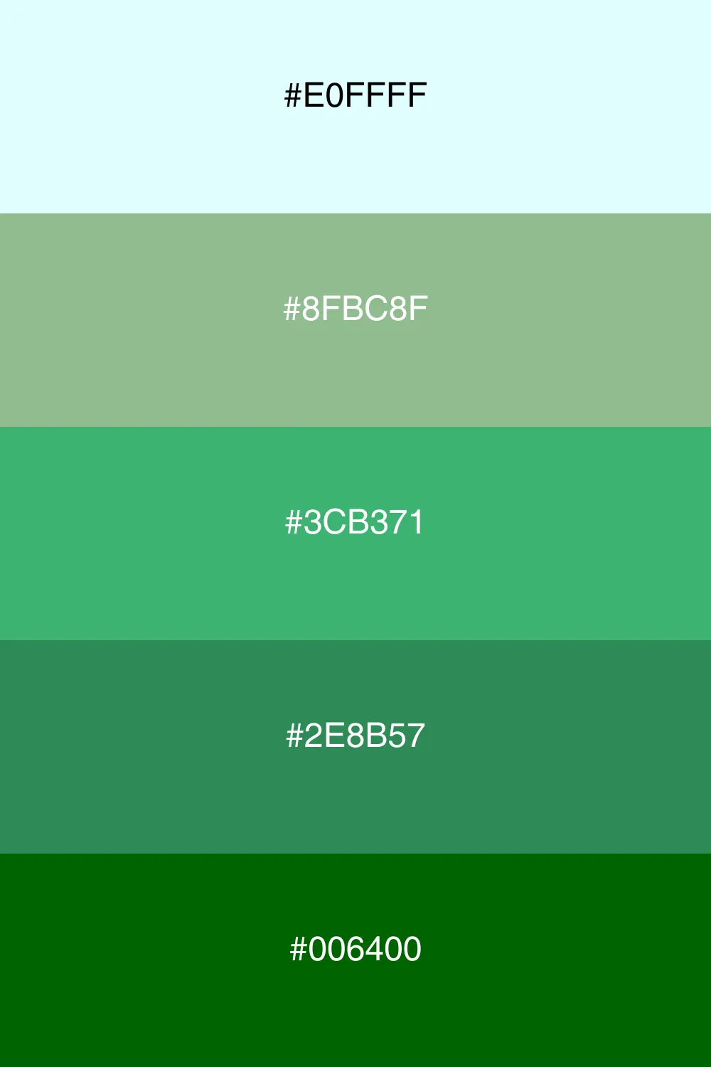An earthy palette inspired by the freshness of the forest.