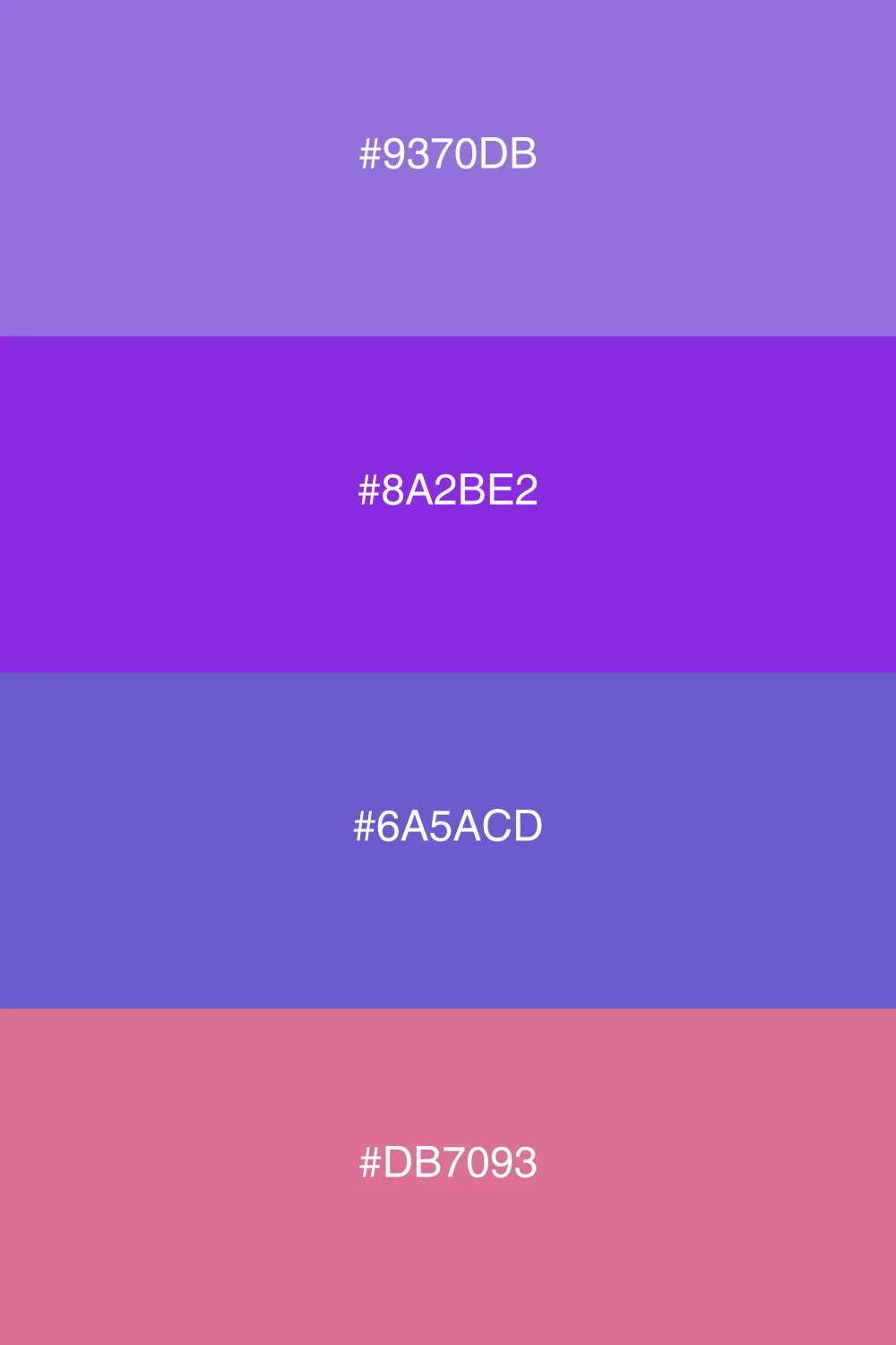 Accent color adds vibrancy to harmony.