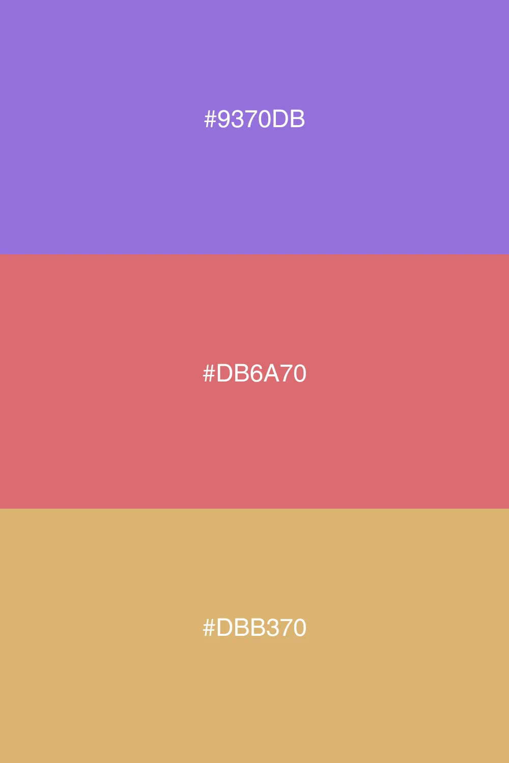 Vibrant contrast with softer tones.