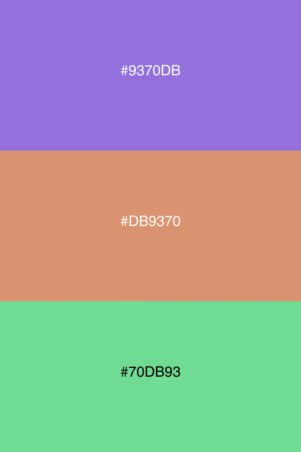 Balanced colors for dynamic designs.