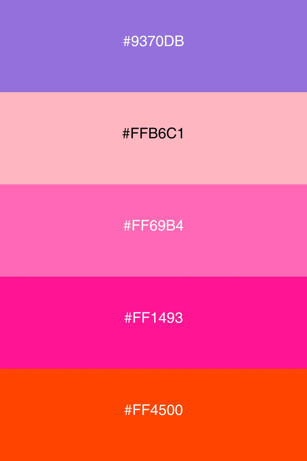 A warm and inviting palette that feels cozy and friendly.