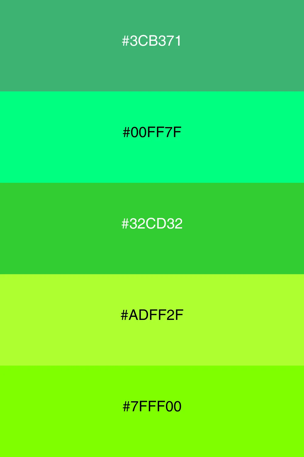 A vibrant neon palette bursting with energy and fun.