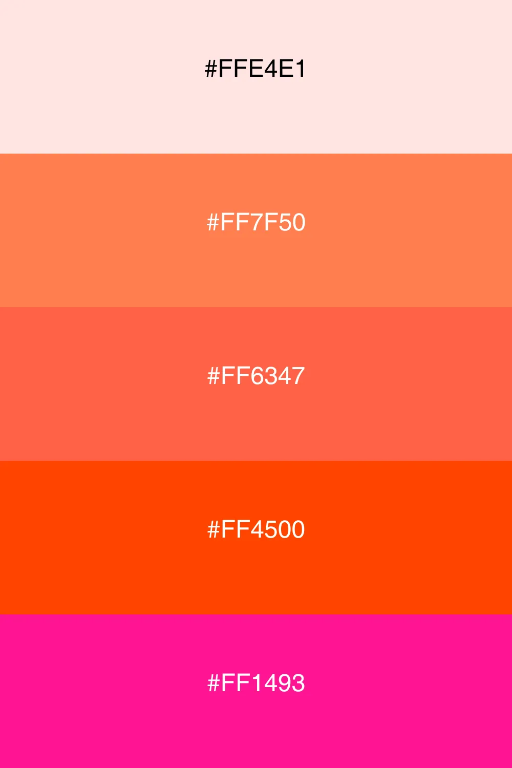 A vibrant palette inspired by the colors of sunset.