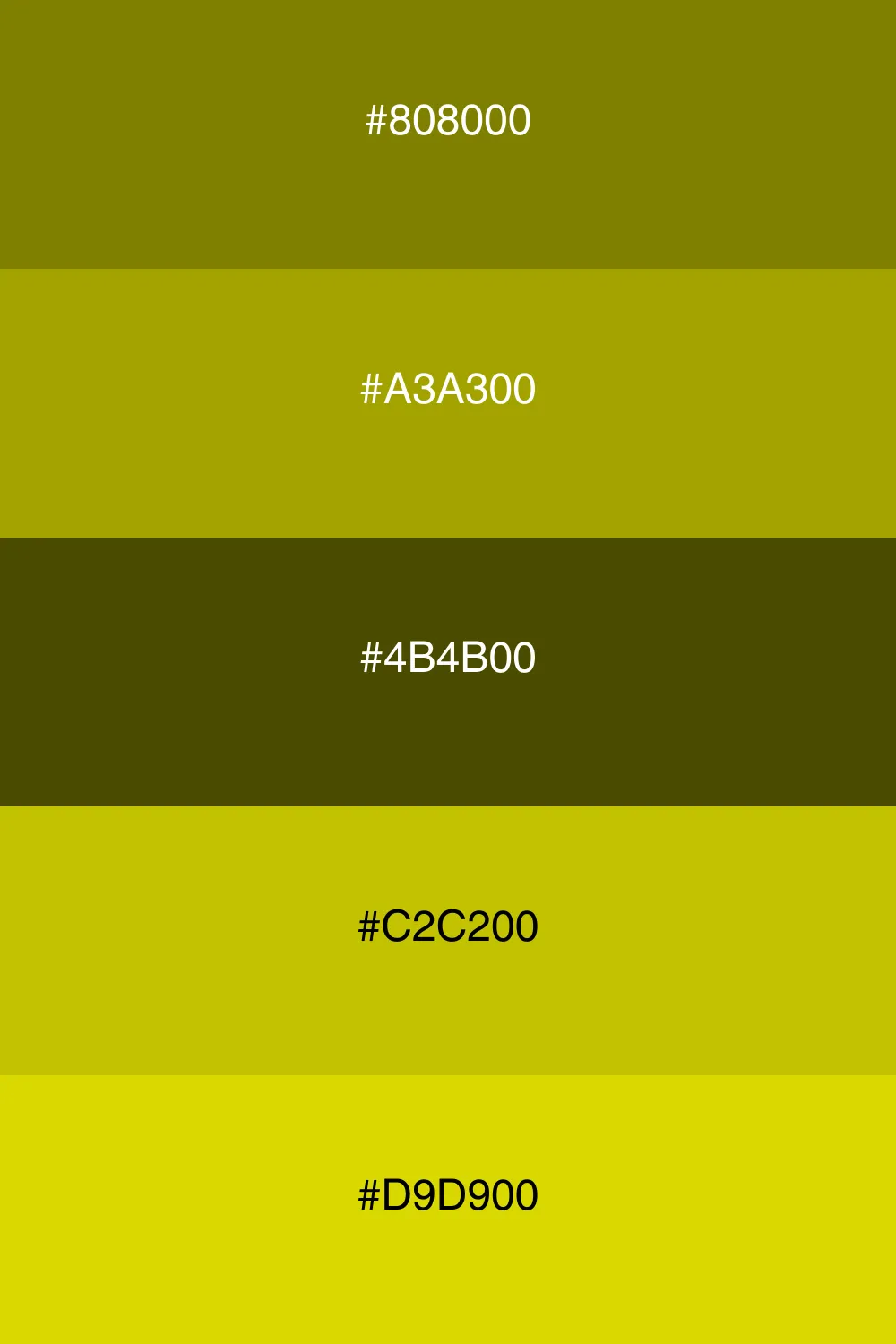 A fresh and earthy palette inspired by olive groves.