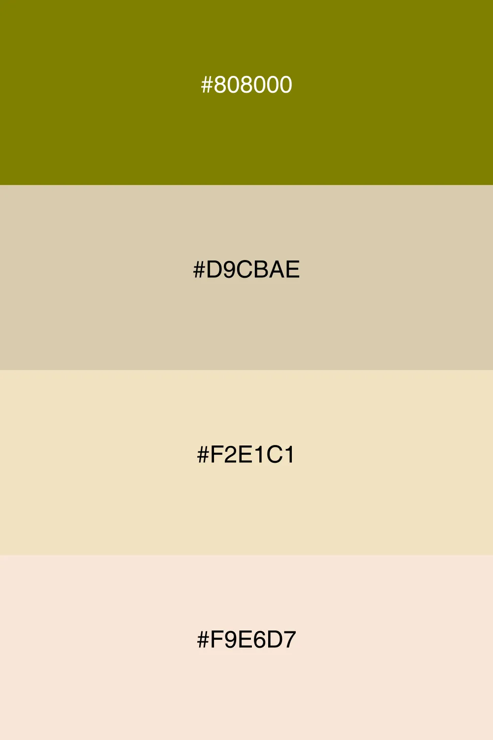 A warm palette that feels inviting and cozy.