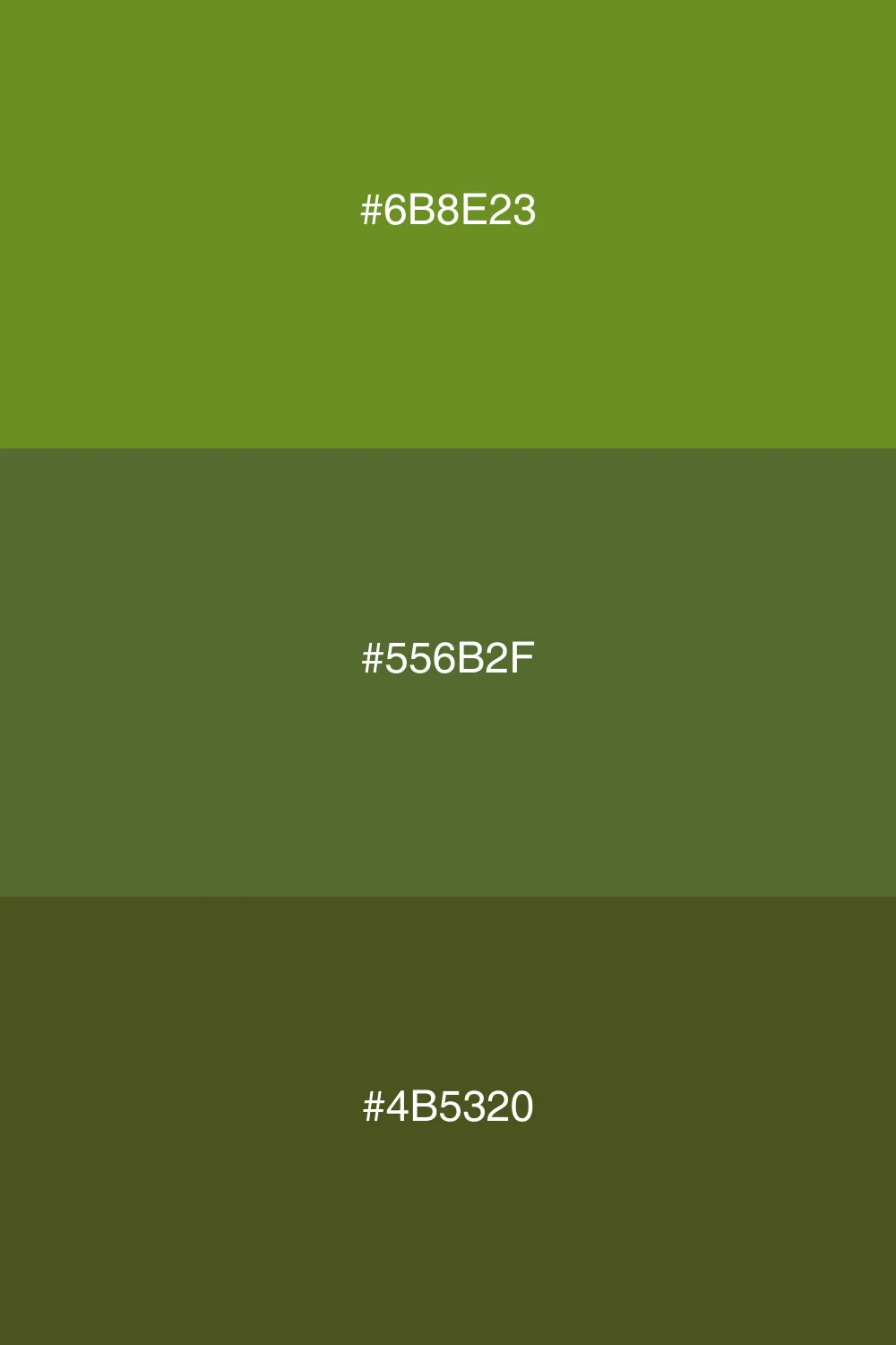 Earthy tones for a grounded aesthetic.