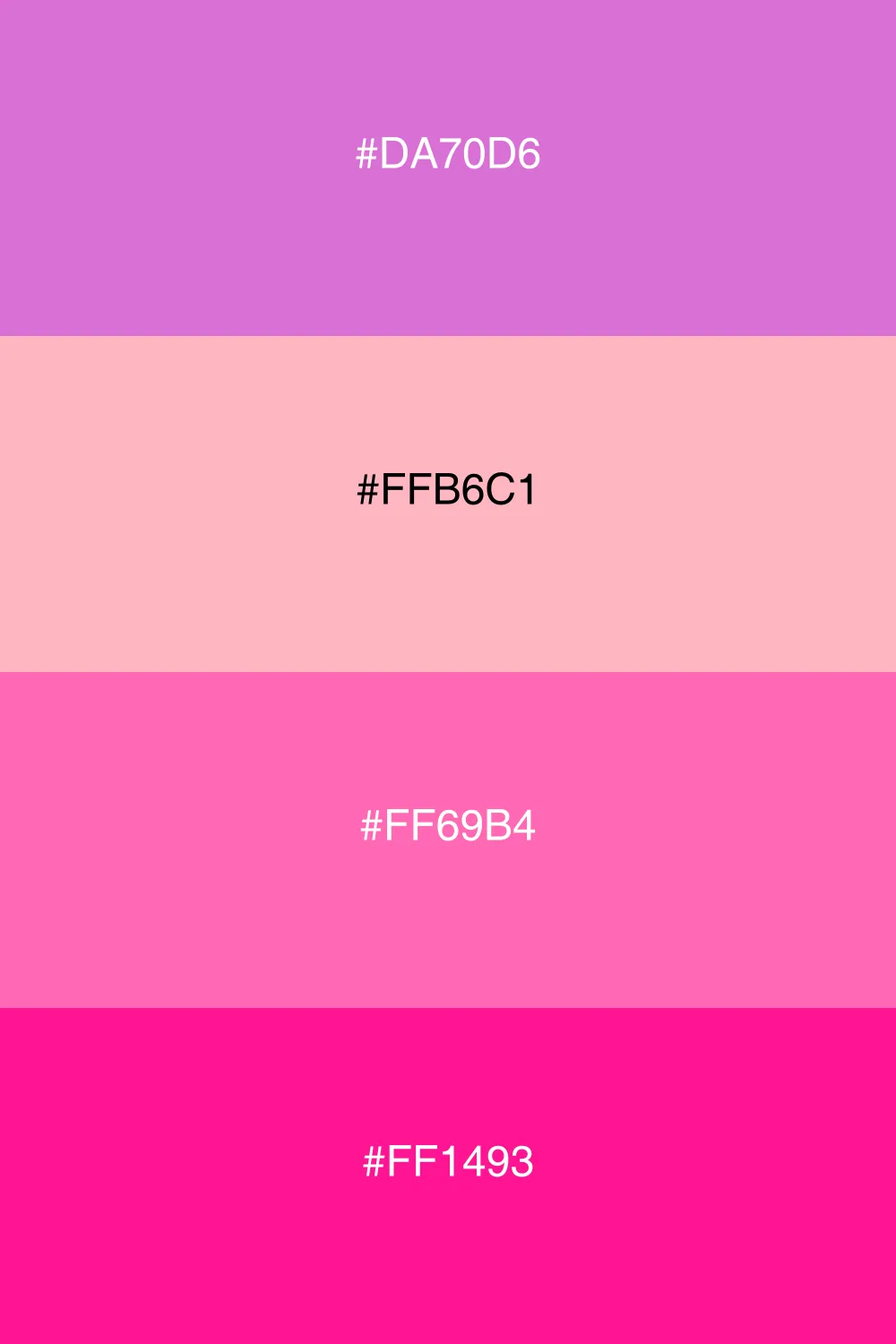 A vibrant palette inspired by warm sunset hues.